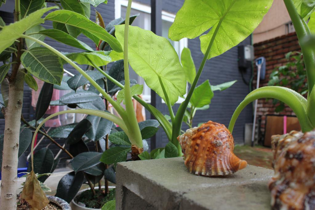 釜山広域市 グッド デイ メイトホステル エクステリア 写真